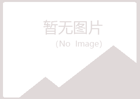 桃山区心底矗陌路水泥有限公司